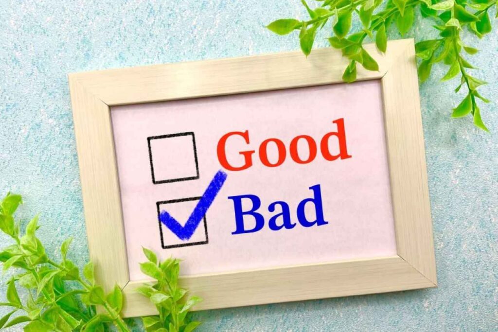 alt="新NISA やらない方がいい人 特徴"